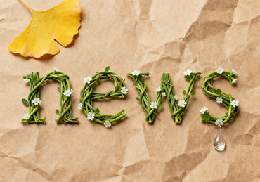 妈咪包采购终极指南:BSCI认证箱包厂揭秘母婴包定制7大黄金法则 箱包资讯